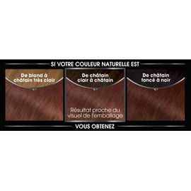 GARNIER Colouration Olia n° 5.5 châtain clair acajou