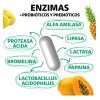 Enzimas Digestivas Probióticos Prebióticos Lactobacillus Acidophilus Lactasa Lipasa Otros Digestive