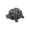 Oubia H20194-A Sea Turtle Doll Figurine 4.3 x 3.1 x
