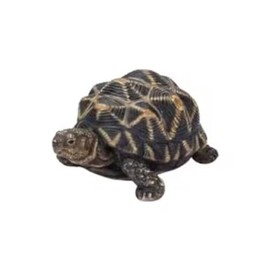 Oubia H20194-A Sea Turtle Doll Figurine 4.3 x 3.1 x 2.2 inches (11 x 8 x 5.5 cm) Animal