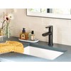 Moen Meena Matte Black One-Handle Single Hole Modern Bathroom Sink