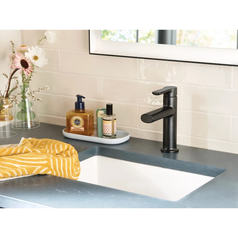 Moen Meena Matte Black One-Handle Single Hole Modern Bathroom Sink
