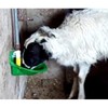 Lucky Farm Automatic Sheep Water Bowls Goat Drinking Feeders Calf