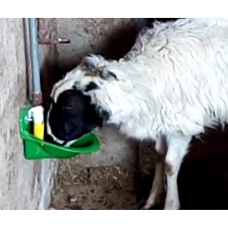 Lucky Farm Automatic Sheep Water Bowls Goat Drinking Feeders Calf