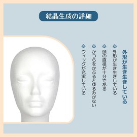 Styrofoam Mannequin White Cosplay Wig Stand Head Light Display Head Model Female Hat Glasses Showcase Salon Shop Painting