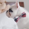 Pet Guard Dog Boutique Alfies Plaid Bow Tie, Medium, Red