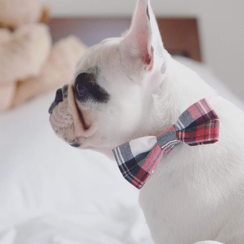 Pet Guard Dog Boutique Alfies Plaid Bow Tie, Medium, Red