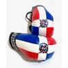 Dominican Boxing gloves flags for car accessories Dominican Republic flag