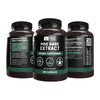 PURE ORIGINAL INGREDIENTS Pine Bark Extract (365 Capsules) No Magnesium