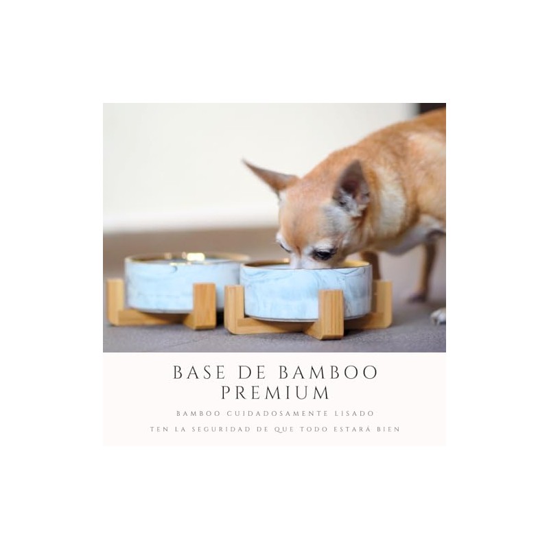 Paquete de 2 Platos para Perro y Gato de Cerámica