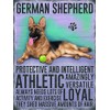 Fridge Magnet - German Shepherd Dog