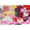 Miyabix Sharp OKWGPN1/8 Electronic Notebook WG-PN1 Writing Like Paper, Made
