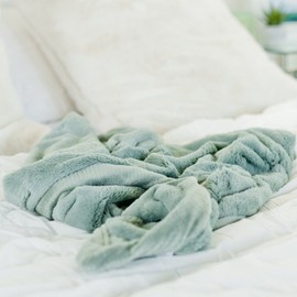 SARANONI Super Soft Comfy Lush 40" x 60" Blanket for Kids and Teens (Eucalyptus)