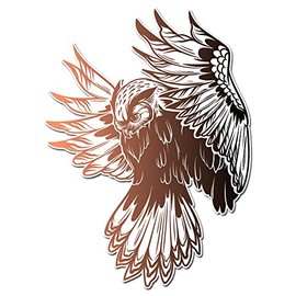 Dark Spark Decals Majestic Flying Colorful Owl - 12 Inch Full Color Vinyl Decal for Indoor or Outdoor use, Cars, Laptops, Décor, Windows, and More