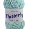 James C Brett Flutterby Chunky 100g Knitting Yarn - B60