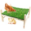 FlidRunest Extra-Large Wooden Chicken Toys, Natural Chicken Foraging Bed Toy