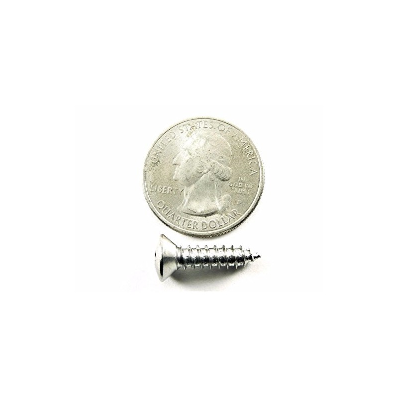 Retro-Motive Chrome #10 x 3/4" Phillips Oval Head Trim Screws