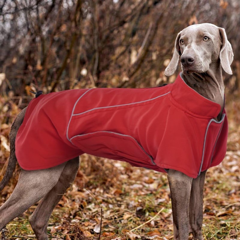 IECOii Dog Coat - Waterproof, Warm, Perfect for Hiking &