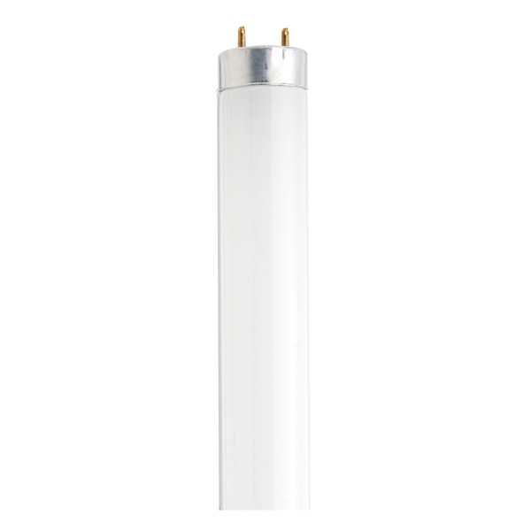 Satco S8432 24-Inch 5000K 17-Watt Medium Bi Pin T8 Instant/Rapid Start Energy Saving Lamp, Daylight