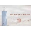 Kao MY KIREI by KAO-SOOTHING PEONY MILKY LOTION, SASHIKO BLUE,