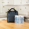 Dr. Brown's Fold & Freeze Bottle Tote, Travel Baby Bottle
