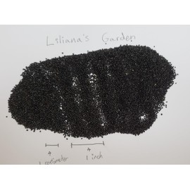 “White Leaf” Amaranth Seeds – aka Rau Dền Xanh or Rau Den - Lighter in Flavor and More Nutrient Dense Than Spinach | Open-Pollinated | USA Grown Heirloom Seeds by Liliana's Garden |