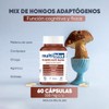 Mushroom Blend 60 Cápsulas de 550mg | Suplemento Alimenticio a