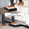 Mind Reader Platform Booster Step, Step Stool for Seniors, Indoor