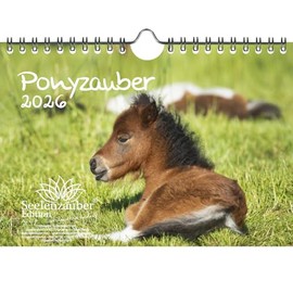 Ponyzauber DIN A5 Calendar for 2026 Pony and Foal Gift Set Contents: 1 x Calendar, 1 x Christmas Pendant, 1 x Greeting Tag (Total 3 Pieces)