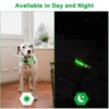Adjustable LED Dog Collar – Reflective, Rechargeable & Anti-Lost (Green,
