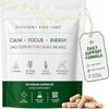 Magnesium Bisglycinate L-Theanine, 60 Vegan Capsules, Different Kind Labs