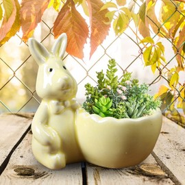 QUINTRA Easter Bunny Mini Ceramic Succulent Pots Thumb Flower Pots for Small Plants and Decorative Items Self Watering Pot (E, A)