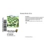 OliveNation Sesame Sticks 32 ounces
