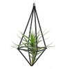 ANKROYU Air Plant Holder Quadrilateral Hanging Tillandsia Rack Elegant Home