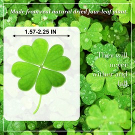 Dried Pressed Flowers Leaves, HEISENLIN 42PCS Real Natural Four Leaf Clovers for Art DIY Crafts Embellishment Decors Craft Resin Jewelry Card Making DIY Scrapbooking