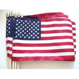 WINDSTRONG Lot of -12-8x12 Inch US American Hand Held Stick Flags Sewn Edges with Spear Tip Double Sided Made in USA