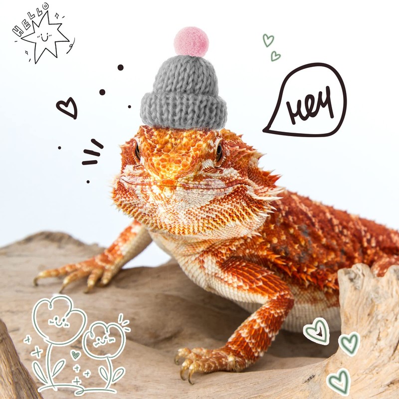 Kajaia 10 Pieces Pet Snake Hat Hamster Hat with Adjustable