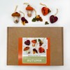 Bergin & Bath Needle Felting Kit - Autumn, Learn to