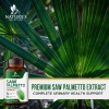 Saw Palmetto Apoyo A Prostata 1000mg Con 60 Caps Hecho