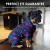 Spark Paws Dog Pajama, Dog Recovery Suit Male, Onesie, Ultra-Soft