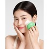 pulley Fully Exfoliating Deep Cleansing Pore Cleansing Brush / 풀리