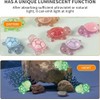 MaoNativey 30 PCS Glow in The Dark Mini Turtles -