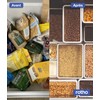 Rotho Loft Set of 3 Storage Containers, Various Sizes, Food-Grade