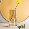 Hey_you Klarglas Vase, Kristall dekorative Vase Blumenblume Pflanzenbehälter für Home