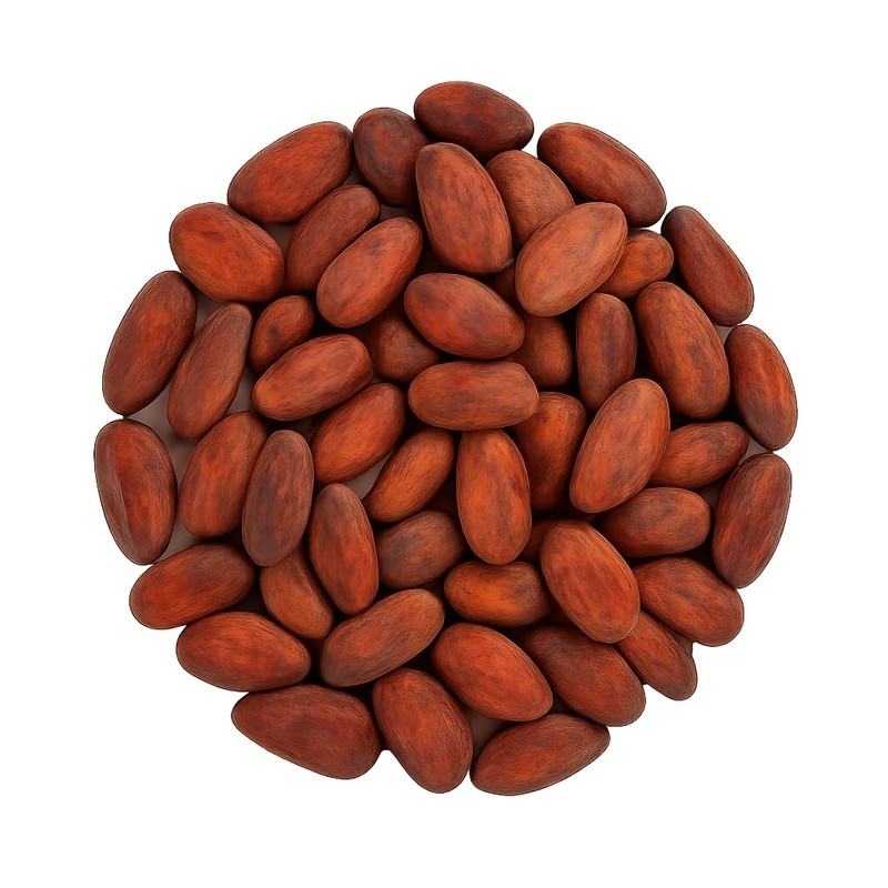 Mandoi Organic Cocoa Beans Raw, 500 g from Organic Cultivation,