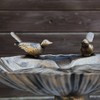 CLGarden 1552 Bird Bath VGT4, with Two Decorative Birds on