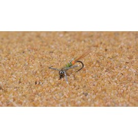 Newbury's Dirty Hipster Jig Fly - Euro Nymph style - tied on Hanak Hooks - 6ct Pack (Hook #14)