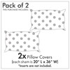 Ambesonne Winter Pillow Sham Set of 2, Abstract Winter Imagery