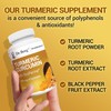 Dr. Berg (Only 2 Per Day) Turmeric Supplement with Black