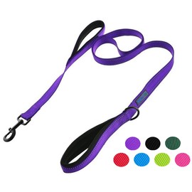 Wagtime Club Soft &Thick Dual Handle 6FT Dog Leash, Premium Nylon Double Padded Handles for Medium, Large or XLarge Dog (Reflective Vibrant Purple)